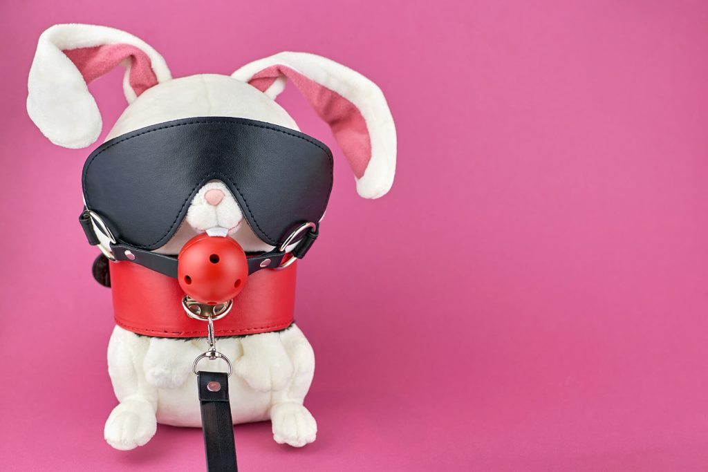 A bunny dressed up in kinky style. Navigating the World of Kink and BDSM: A Counsellor's Perspective